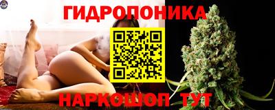 стаф Обь