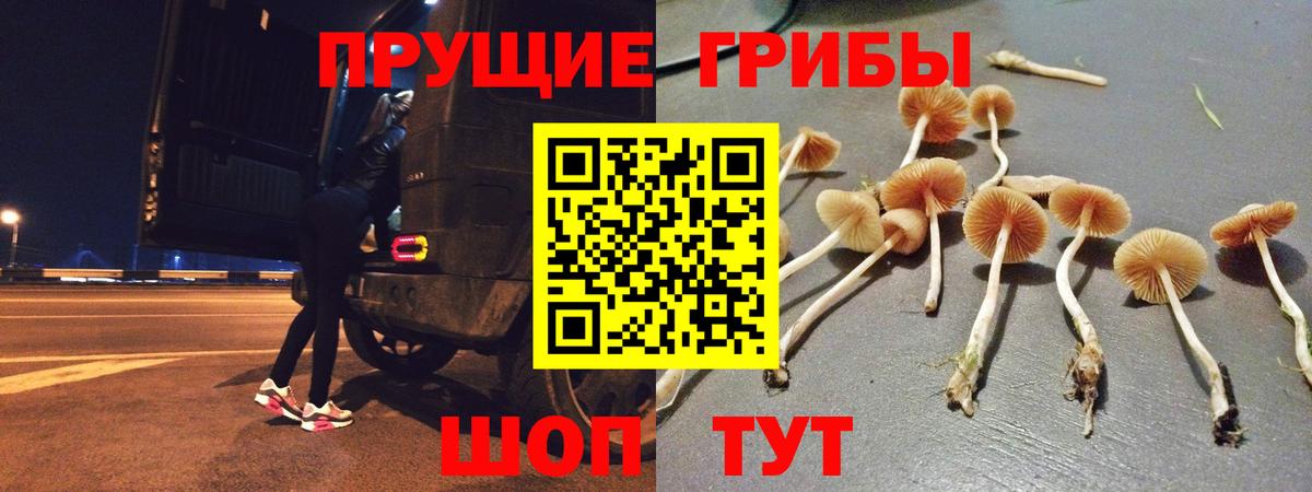 Балашиха  Псилоцибиновые грибы MAGIC MUSHROOMS  Галлюциногенные грибы прущие грибы  Вход с VPN 