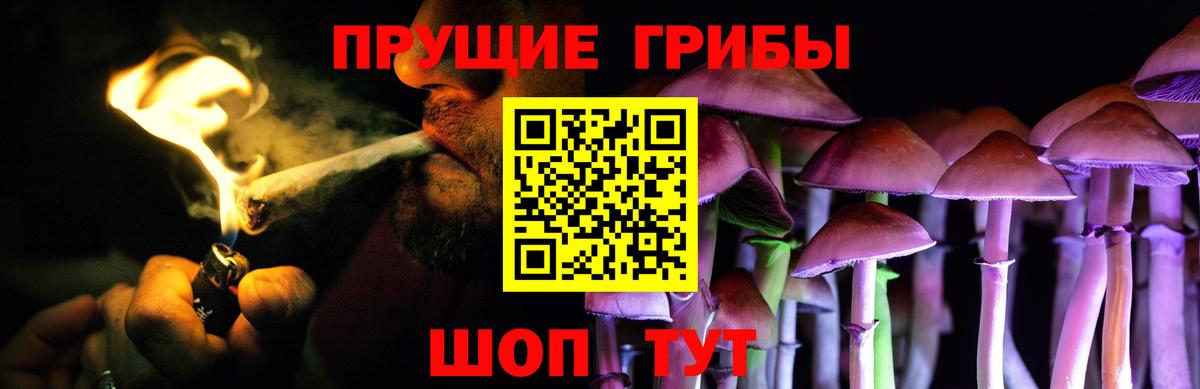 Псилоцибиновые грибы GOLDEN TEACHER Балашиха